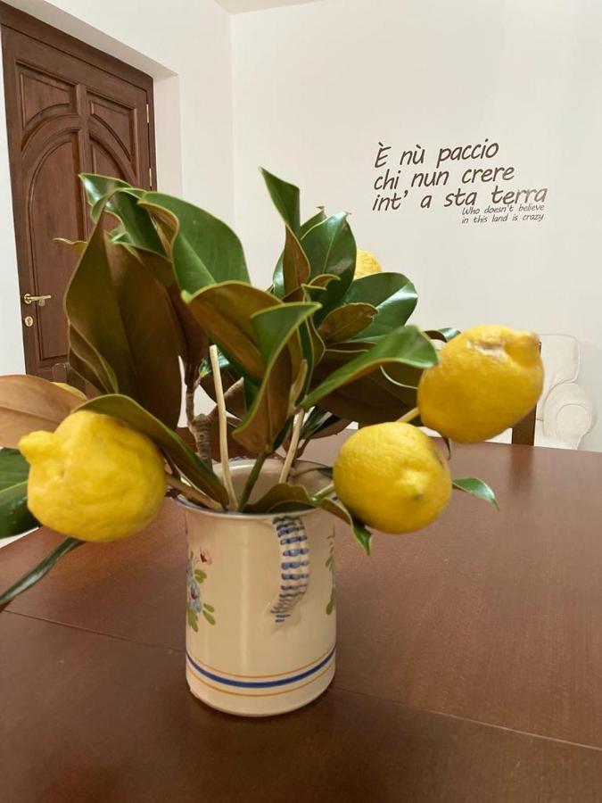 B&B Casa Letizia Trentinara エクステリア 写真